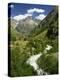 Veneon Valley in the Parc National Des Ecrins, Near Grenoble, Isere, Rhone-Alpes, France-David Hughes-Premier Image Canvas