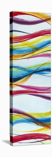 Venetian Glass II-Liz Jardine-Stretched Canvas