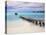 Venezuela, Archipelago Los Roques National Park, Pier on Madrisque Island-Jane Sweeney-Premier Image Canvas