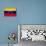 Venezuela Flag Design with Wood Patterning - Flags of the World Series-Philippe Hugonnard-Stretched Canvas displayed on a wall