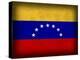 Venezuela-David Bowman-Premier Image Canvas