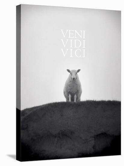 Veni, Vidi, Vici-Lee Frost-Stretched Canvas