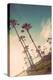 Venice Beach Fun-Emily Navas-Stretched Canvas