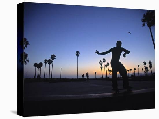 Venice Beach, Los Angeles, USA-Neil Farrin-Premier Image Canvas