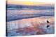 Venice Beach Sunset-Lori Hutchison-Stretched Canvas