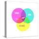 Venn Party Diagram-Bella Dos Santos-Stretched Canvas