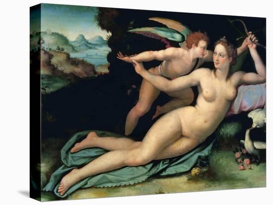 Venus and Amor by Allori, Alessandro (1535-1607). Oil on Wood, Dimension : 29X38. Galleria Degli Uf-Alessandro Allori-Premier Image Canvas