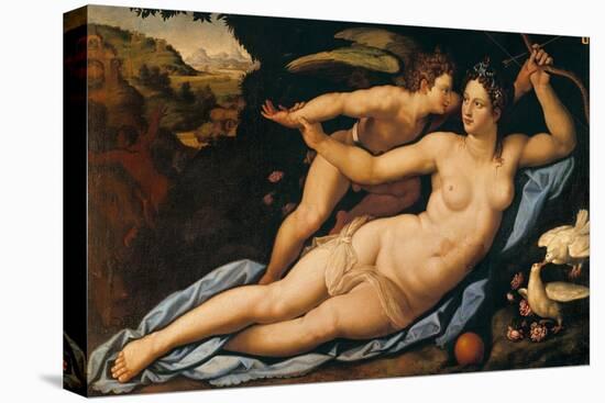 Venus and Cupid-Alessandro Allori-Premier Image Canvas
