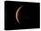 Venus, Artwork-null-Premier Image Canvas