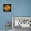 Venus, Magellan Image-null-Premier Image Canvas displayed on a wall