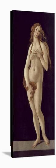 Venus Pudica-Sandro Botticelli-Premier Image Canvas
