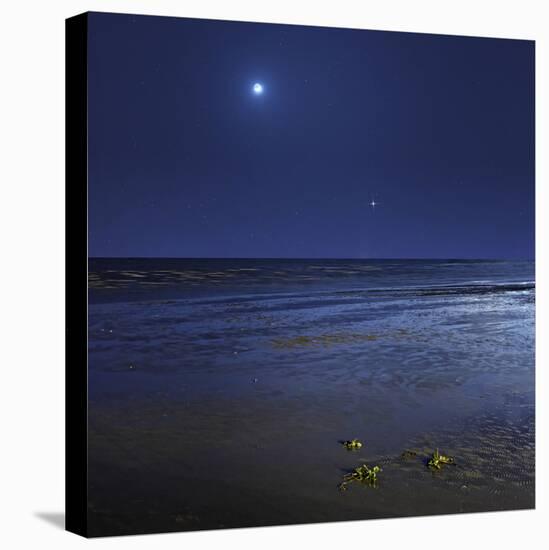 Venus Shines Brightly Below the Crescent Moon from Coast of Buenos Aires, Argentina-Stocktrek Images-Premier Image Canvas