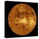 Venus-Stocktrek Images-Premier Image Canvas