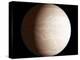 Venus-Chris Butler-Premier Image Canvas