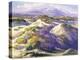 Verbena Clad Dunes-Fred Grayson Sayre-Premier Image Canvas