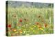 Verbena, Coreopsis, Atlantic Poppy, Lavender, Statice, Mountain Bluet and Cornflower-Emily Wilson-Premier Image Canvas