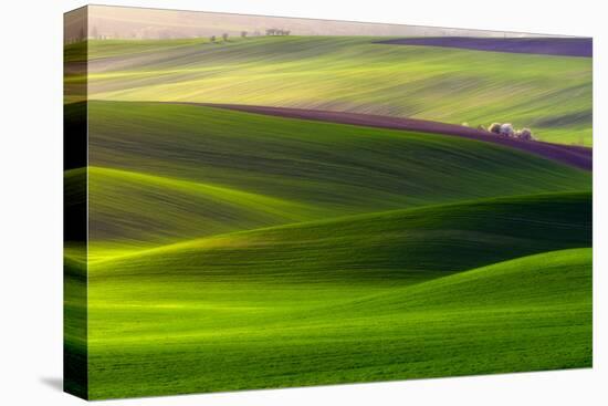 Verdant Land-Piotr Krol (Bax)-Premier Image Canvas