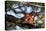 Vermilion flycatcher courtship display, Texas, USA-Karine Aigner-Premier Image Canvas