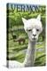 Vermont - Alpaca Scene-Lantern Press-Stretched Canvas