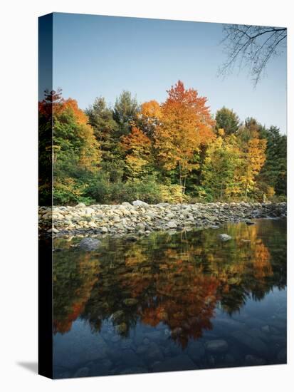 Vermont, Autumn Colors of Sugar Maple Trees Along a Stream-Christopher Talbot Frank-Premier Image Canvas