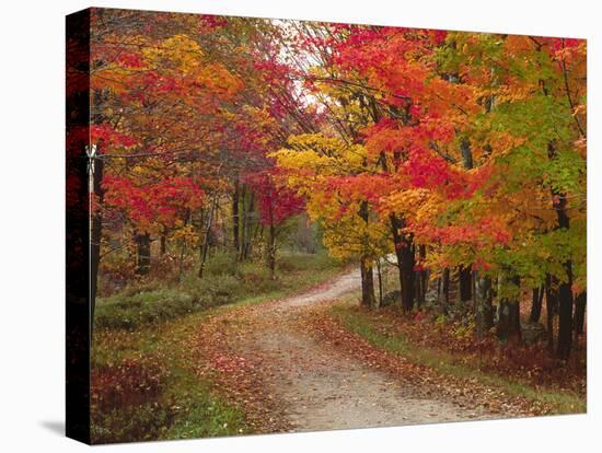 Vermont Country Road in Fall, USA-Charles Sleicher-Premier Image Canvas