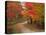 Vermont Country Road in Fall, USA-Charles Sleicher-Premier Image Canvas