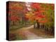 Vermont Country Road in Fall, USA-Charles Sleicher-Premier Image Canvas