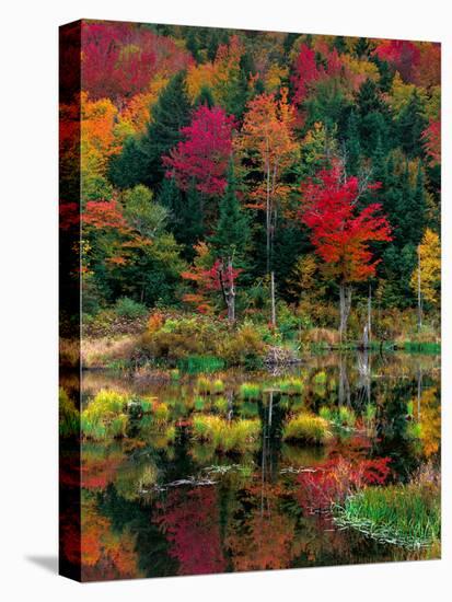 Vermont Fall #2-Steven Maxx-Premier Image Canvas