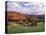 Vermont Farm in the Fall, USA-Charles Sleicher-Premier Image Canvas