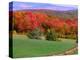 Vermont Hills in the Fall, Vermont, USA-Charles Sleicher-Premier Image Canvas