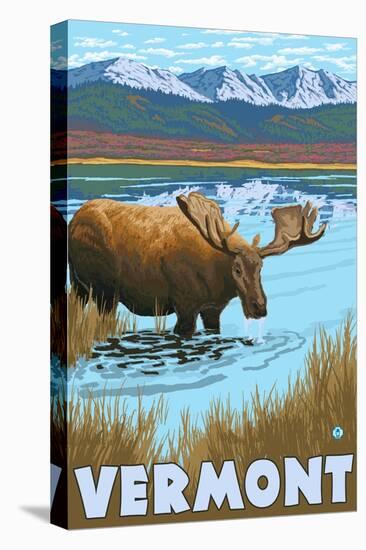 Vermont - Moose Drinking in Lake-Lantern Press-Stretched Canvas