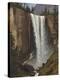 Vernal Falls, 1863-Albert Bierstadt-Stretched Canvas