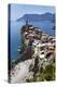 Vernazza from the Cinque Terre Coastal Path-Mark Sunderland-Premier Image Canvas