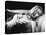 Veronica Lake, 1940-null-Premier Image Canvas