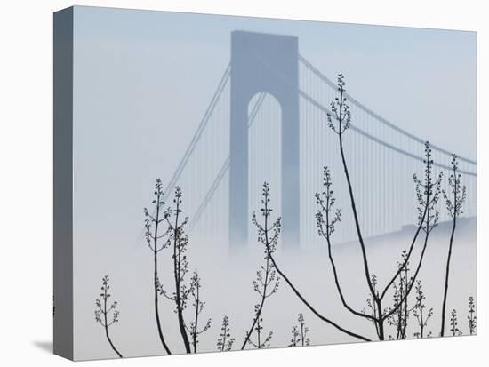 Verrazano-Narrows Bridge in Morning Fog, Staten Island, New York, USA-Walter Bibikow-Premier Image Canvas