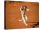 Verreaux's Sifaka, Berenty, Madagascar-Pete Oxford-Premier Image Canvas