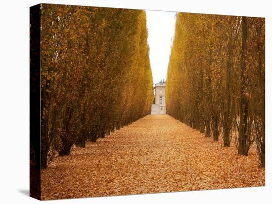 Versailles in Fall II-Emily Navas-Premier Image Canvas