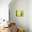 Vert Lime-Anna Polanski-Stretched Canvas displayed on a wall