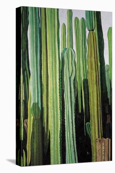 Vertical Candelabro Cactus in Oaxaca, 2003-Pedro Diego Alvarado-Premier Image Canvas