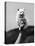 Very Small Dog Being Held Up by One Hand-Alfred Eisenstaedt-Premier Image Canvas