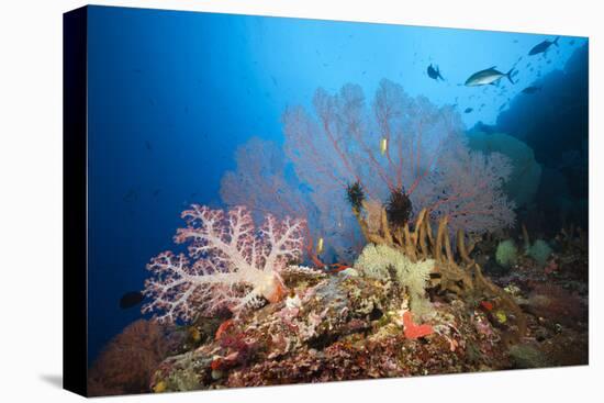 Very Varied Coral Reef, Russell Islands, the Solomon Islands-Reinhard Dirscherl-Premier Image Canvas