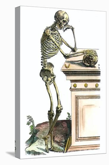 Vesalius: Skeleton, 1543-Andreas Vesalius-Premier Image Canvas