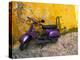 Vespa and Yellow Wall in Old Town, Rhodes, Greece-Tom Haseltine-Premier Image Canvas