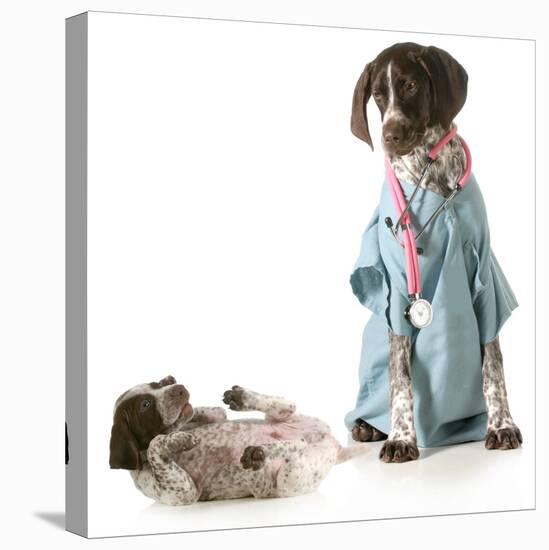 Veterinary Care - German Shorthaired Pointer Dressed as a Veterinarian Looking after Sick Puppy-Willee Cole-Premier Image Canvas