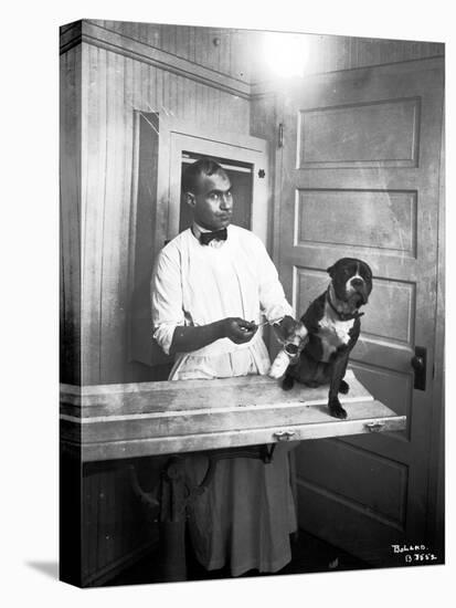 Veterinary Care of Dog, 1921-Marvin Boland-Premier Image Canvas