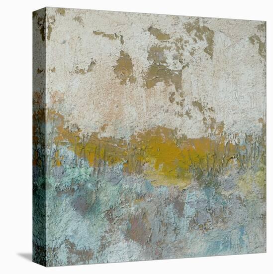 Viaje-Amy Donaldson-Stretched Canvas