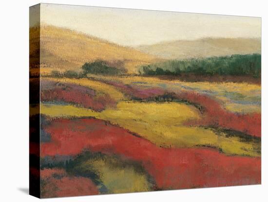 Vibrant Afternoon-Carl Stieger-Stretched Canvas