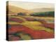 Vibrant Afternoon-Carl Stieger-Stretched Canvas