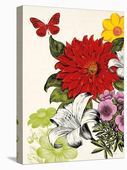 Vibrant Blossoms-Devon Ross-Stretched Canvas
