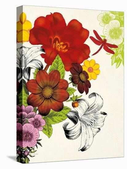 Vibrant Bouquet-Devon Ross-Stretched Canvas